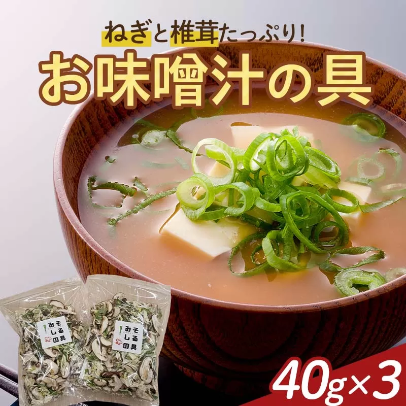 天栄村名産のねぎと椎茸たっぷり！お味噌汁の具 40g×3パック F21T-323