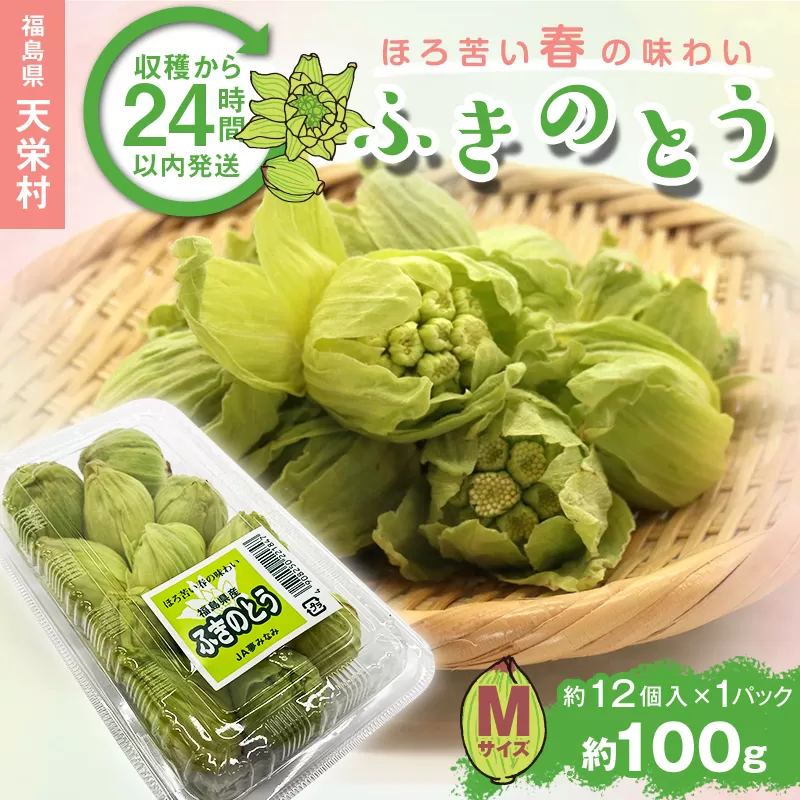 収穫から24時間以内に発送！ほろ苦い春の味わい「ふきのとう」Mサイズ1パック100g（約12個） F21T-349