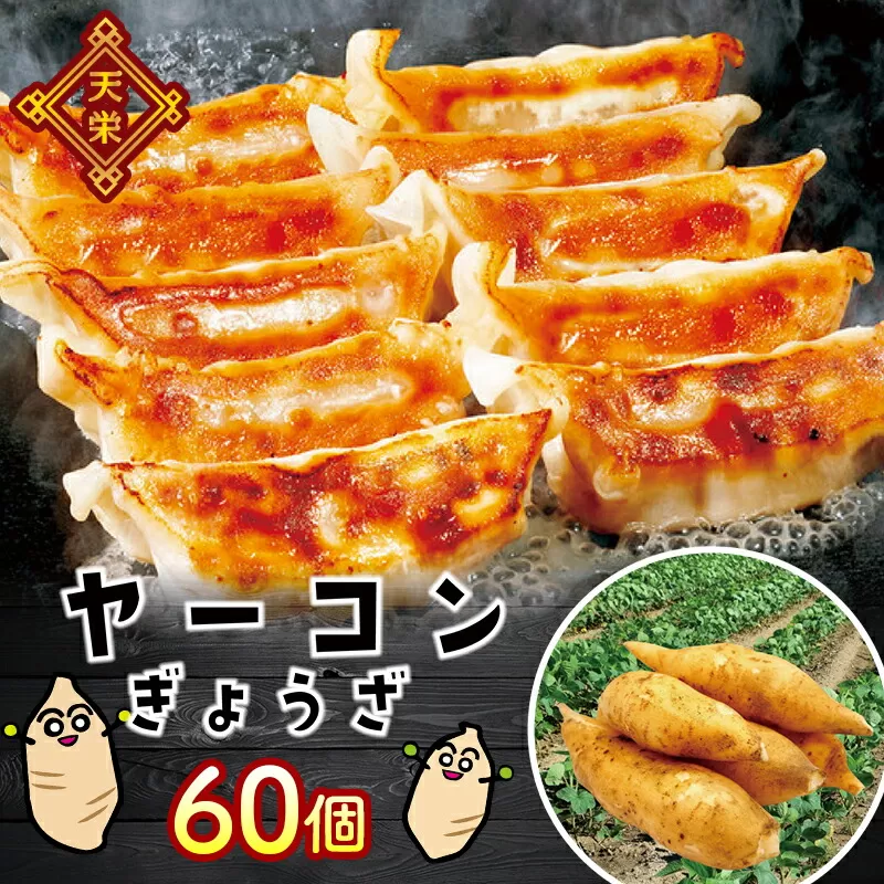 天栄村特産を使った ヤーコン餃子 60個 F21T-181