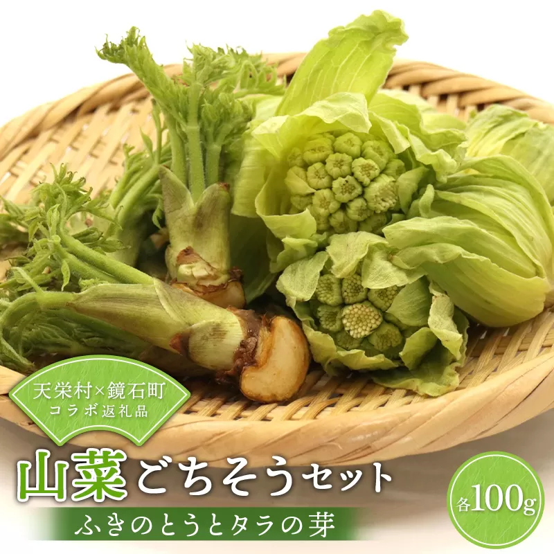 〈先行予約〉天栄村×鏡石町コラボ返礼品 山菜ごちそうセット ふきのとうとタラの芽（各100g） 山菜 野菜 食品 フキノトウ たらのめ 福島県 天栄村 鏡石町  F21T-487