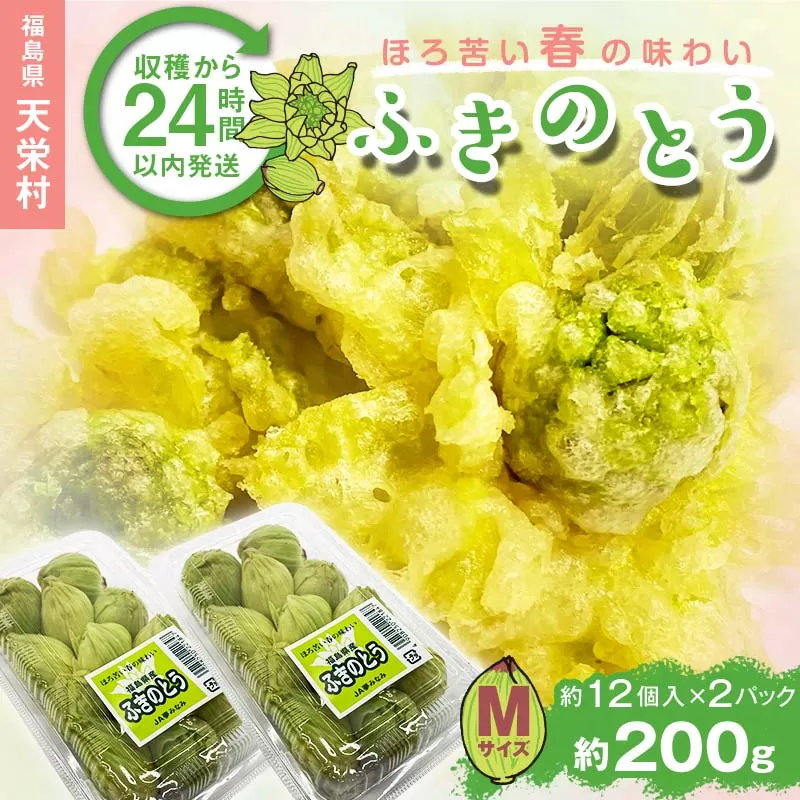 収穫から24時間以内に発送！ほろ苦い春の味わい「ふきのとう」Mサイズ200g（約24個） F21T-350