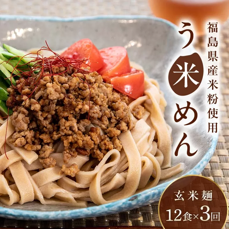 【3か月定期便】グルテンフリー 米粉で作った麺「う米めん」玄米タイプ12食入り×3回 F21T-458
