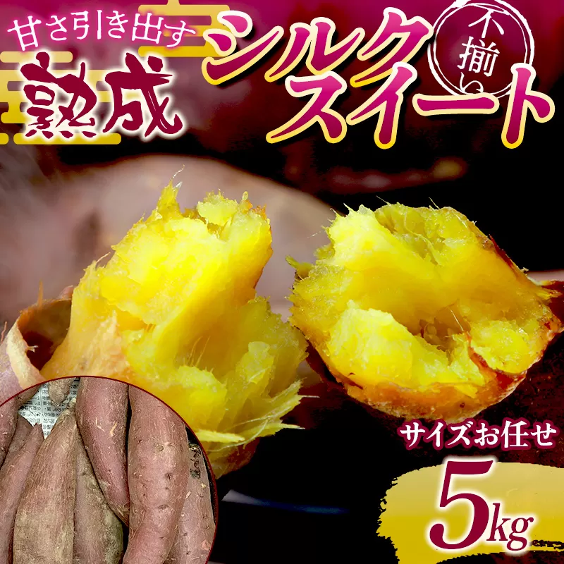 甘さ引き出す 不揃い 熟成シルクスイート 5kg さつまいも サイズお任せ サツマイモ さつま芋 甘い おやつ 食品  F21T-473