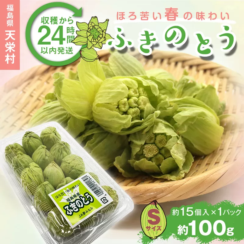 収穫から24時間以内に発送！ほろ苦い春の味わい「ふきのとう」Sサイズ1パック100g（約15個） F21T-351