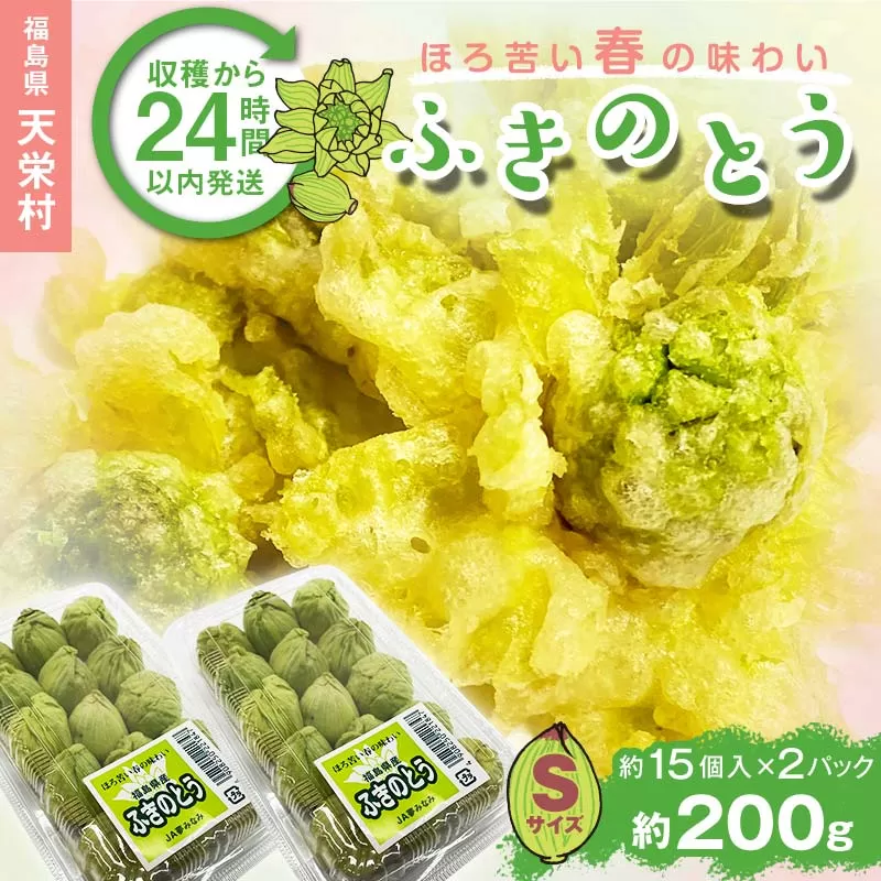 収穫から24時間以内に発送！ほろ苦い春の味わい「ふきのとう」Sサイズ200g（約30個） F21T-352
