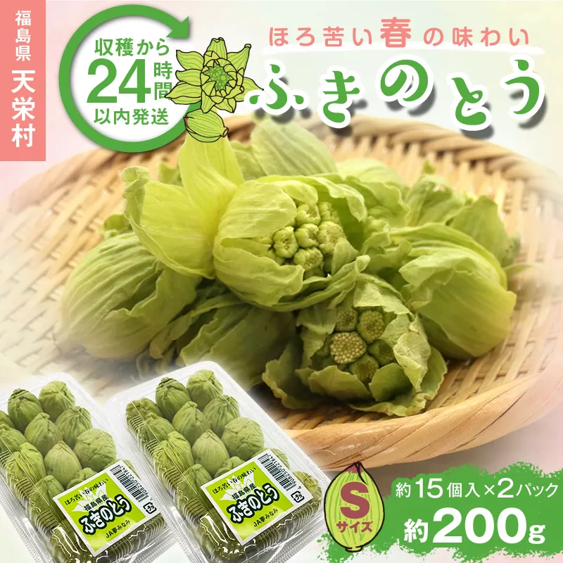収穫から24時間以内に発送！ほろ苦い春の味わい「ふきのとう」Sサイズ200g（約30個） F21T-352