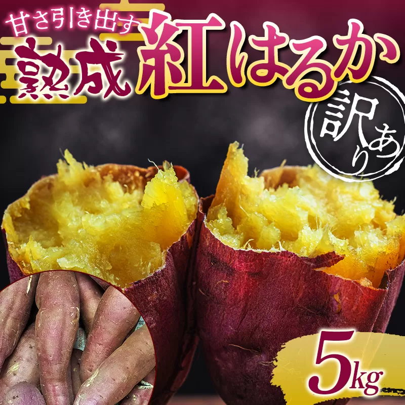 甘さ引き出す サイズ不揃い 熟成紅はるか 5kg さつまいも 訳アリ サツマイモ さつま芋 甘い おやつ 食品  F21T-474
