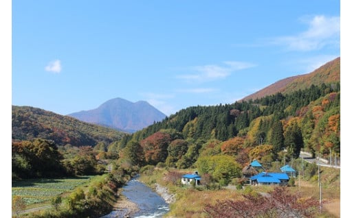 移住定住の促進	
