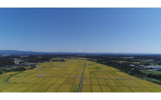 産業の振興	