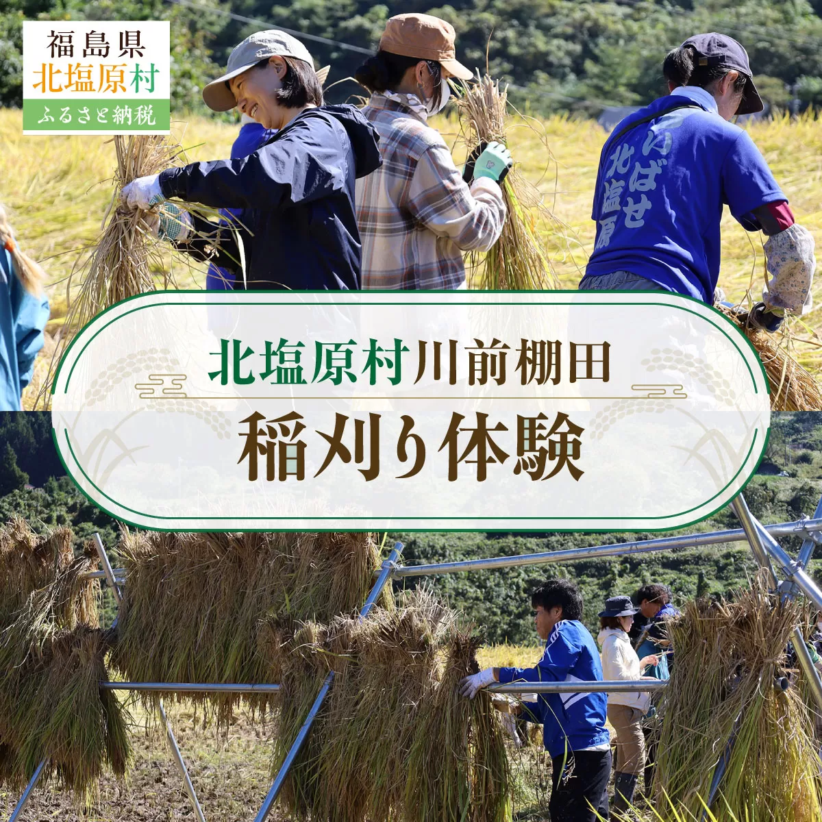 北塩原村川前棚田　稲刈り体験 KBAH003