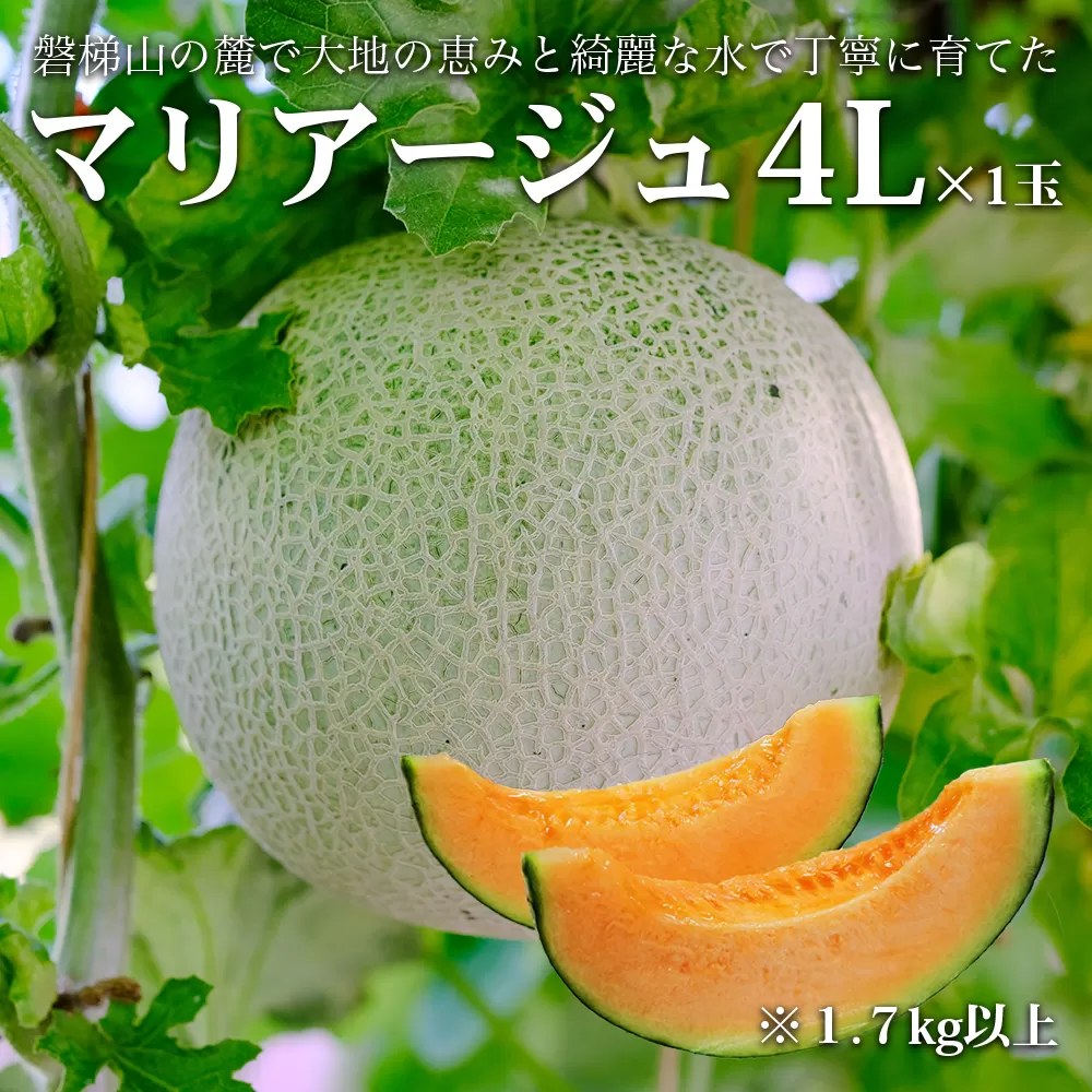 【期間限定】【数量限定】磐梯町産 赤肉メロン 『マリアージュ』 1 玉 4L サイズ　※8月10日以降順次発送