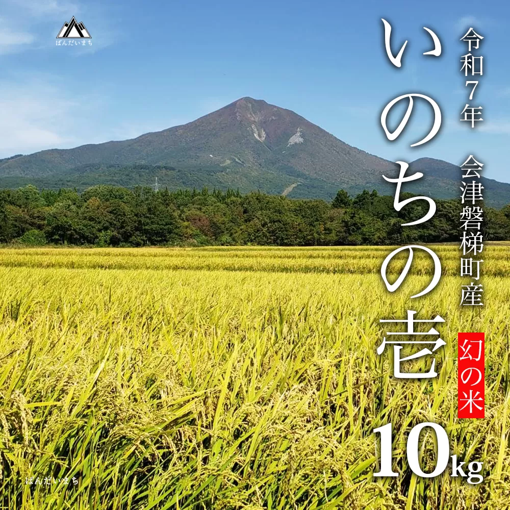【令和7年産・新米】幻の米 いのちの壱 特別栽培米 10kg【減農薬・減化学肥料】