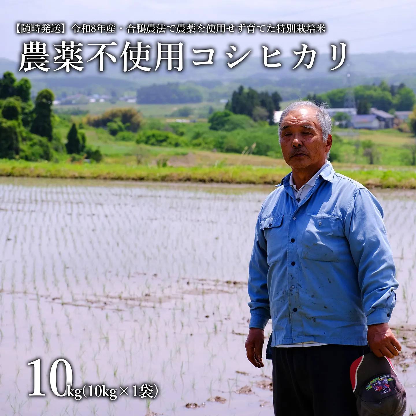 【令和8年産・新米】農薬不使用　コシヒカリ米　合鴨農法　10kg(特別栽培米、旧名：会津磐梯山宝米）
