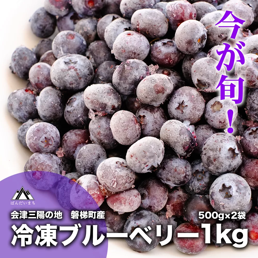 【予約】冷凍ブルーベリー 1kg 直径13mm以上　※7月下旬発送予定