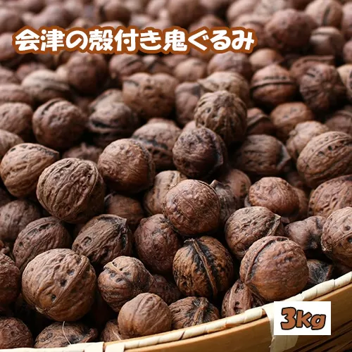 殻つき 会津の鬼ぐるみ３kg