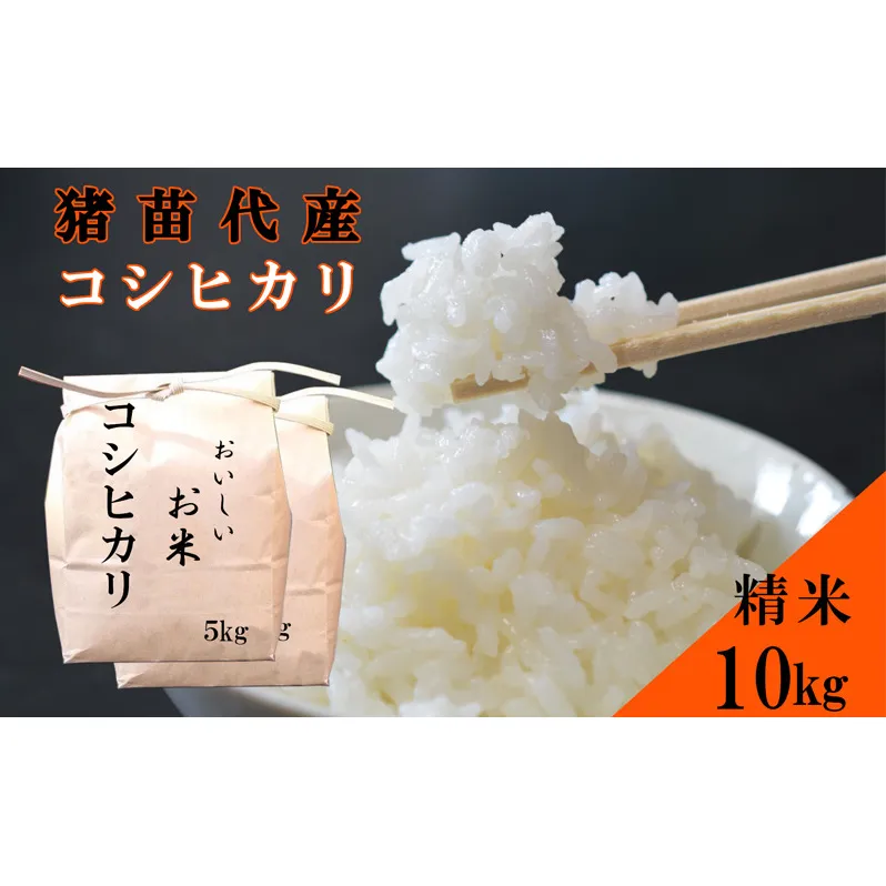 米 令和6年度産 コシヒカリ 10kg  白米 精米 生産者直送 直送