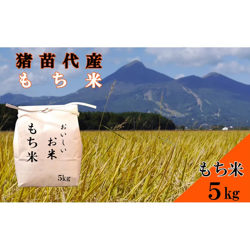 令和6年度産 もち米 5kg 餅 赤飯 おはぎ おこわ 雑煮 大福 あられ イベント 餅つき 