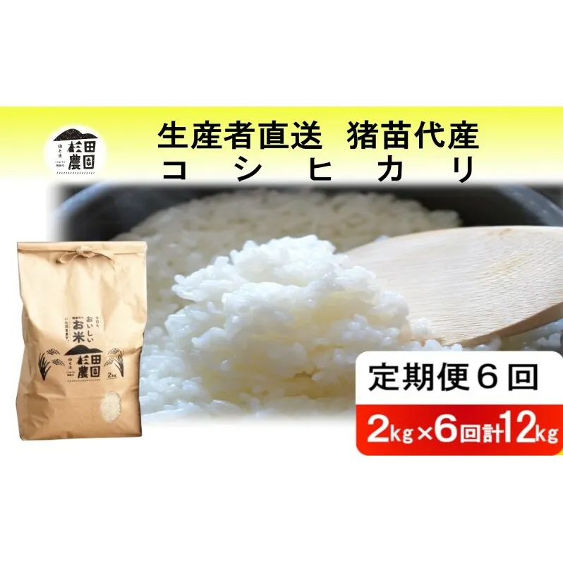 定期便 6回 米 令和6年度産 コシヒカリ 12kg(2kg×6回) 白米 精米 生産者直送 直送