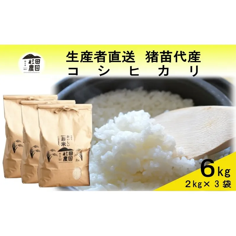 米 令和6年度産 コシヒカリ 6kg(2kg×3袋) 白米 精米 生産者直送 直送