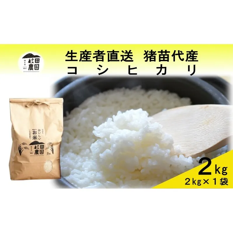 米 令和6年度産 コシヒカリ 2kg 白米 精米 生産者直送 直送