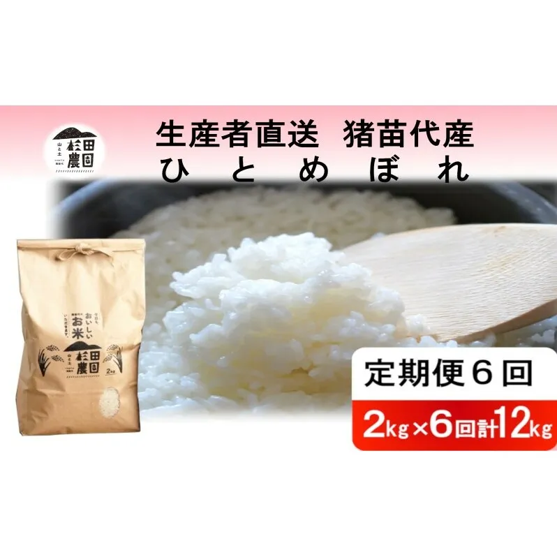 定期便 6回 米 令和6年度産 ひとめぼれ 12kg(2kg×6回) 白米 精米 生産者直送 直送