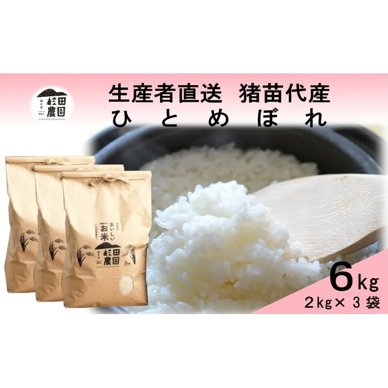 米 令和6年度産 ひとめぼれ 6kg(2kg×3袋) 白米 精米 生産者直送 直送