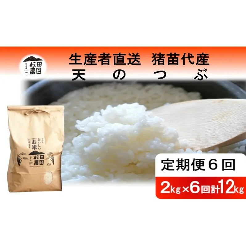 定期便 6回 米 令和6年度産 天のつぶ 12kg(2kg×6回) 白米 精米 生産者直送 直送