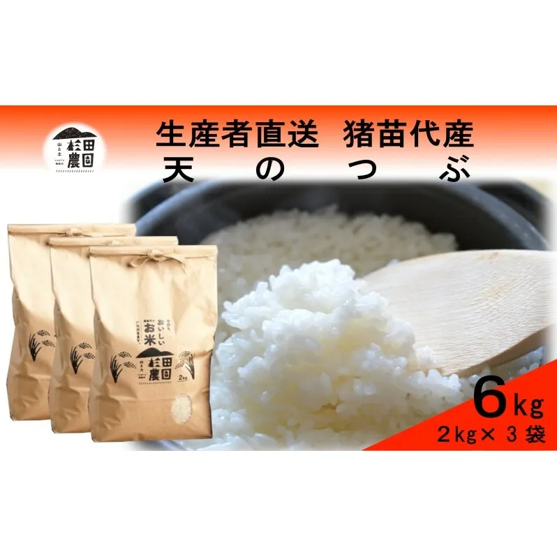 米 令和6年度産 天のつぶ 6kg(2kg×3袋) 白米 精米 生産者直送 直送