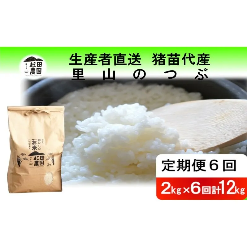 定期便 6回 米 令和6年度産 里山のつぶ 12kg(2kg×6回) 白米 精米 生産者直送 直送