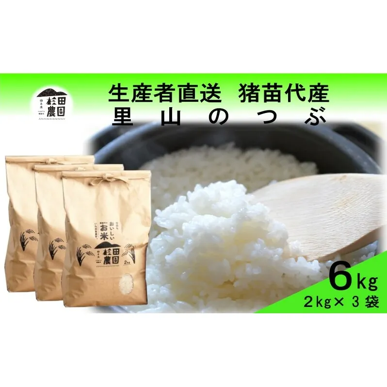 米 令和6年度産 里山のつぶ 6kg(2kg×3袋) 白米 精米 生産者直送 直送