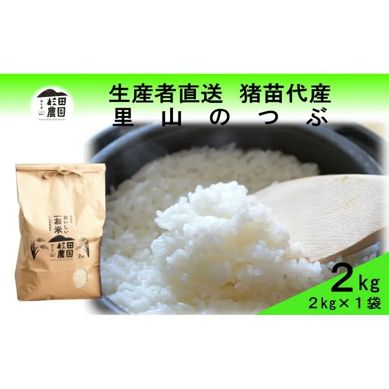 米 令和6年度産 里山のつぶ 2kg 白米 精米 生産者直送 直送