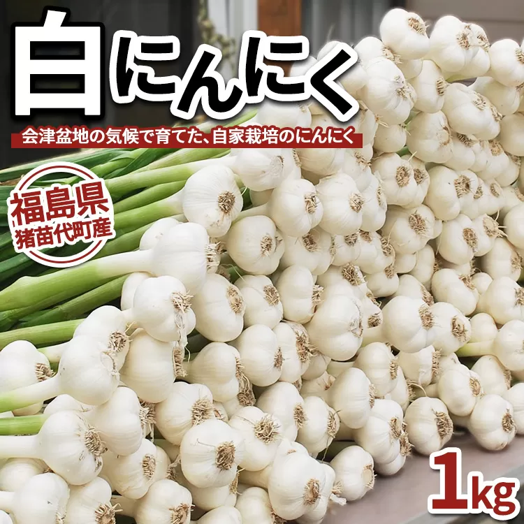 【数量限定】白にんにく 1kg 国産 猪苗代産　※沖縄、離島への配送不可　※2025年9月上旬頃より順次発送予定
