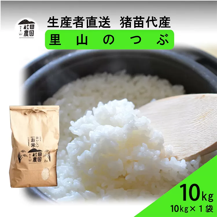 【令和7年度産 新米予約】 米 里山のつぶ 10kg(10kg×1袋) 白米 精米 ※2025年11月下旬頃より順次発送予定 ※沖縄・離島への配送不可