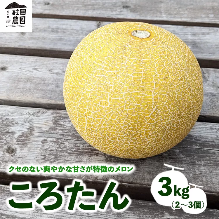 「ころたん」メロン 3kg 2～3個 ※沖縄・離島への配送不可 ※2025年8月上旬～10月中旬頃に順次発送予定