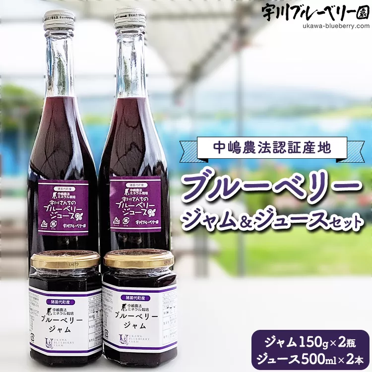 ブルーベリー ブルーベリージャム＆ブルーベリージュースセット ミネラル栽培 中嶋農法 稲苗代町産 自家製栽培 セット