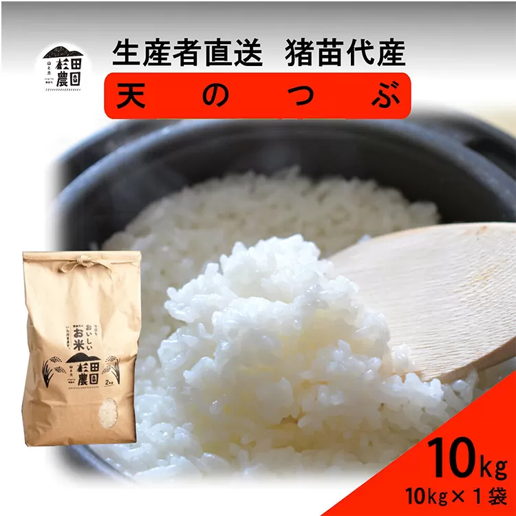 【令和7年度産 新米予約】 米 天のつぶ 10kg(10kg×1袋) 白米 精米 ※2025年11月下旬頃より順次発送予定 ※沖縄・離島への配送不可