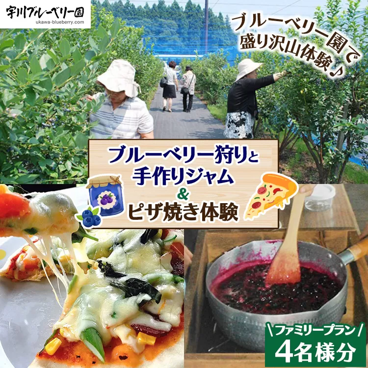 【2026年先行予約】【数量限定】ブルーベリー狩りと手作りジャム＆ピザ焼き体験ファミリープラン（4名様分）