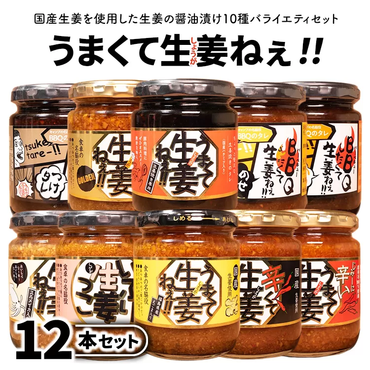 うまくて生姜ねぇシリーズバラエティセット12本 【しょうが 国産 醤油漬け ごはんのお供 お弁当 調味料 おつまみ 肴 薬味 隠し味 猪苗代町 福島県】
