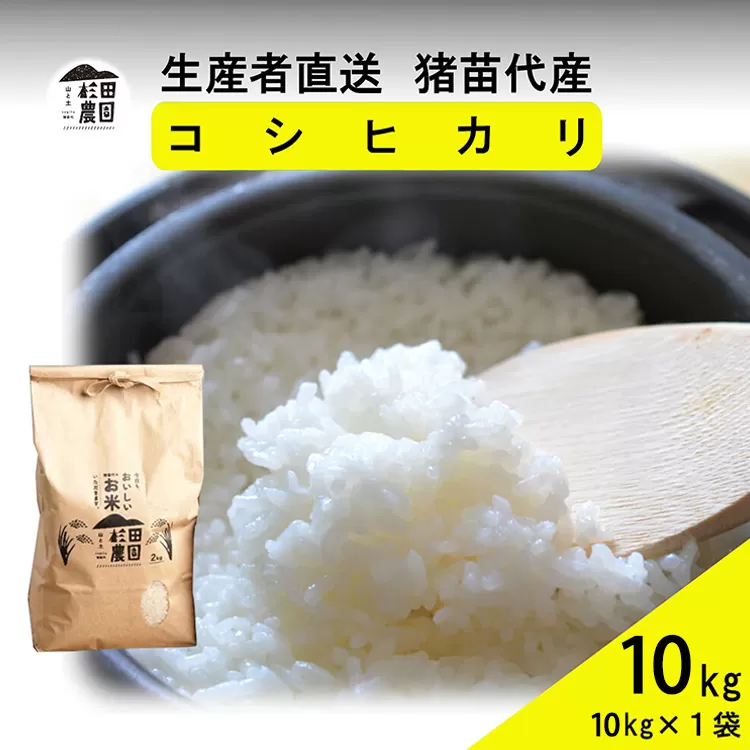 【令和7年度産 新米予約】 米 コシヒカリ 10kg(10kg×1袋) 白米 精米 ※2025年11月下旬頃より順次発送予定 ※沖縄・離島への配送不可