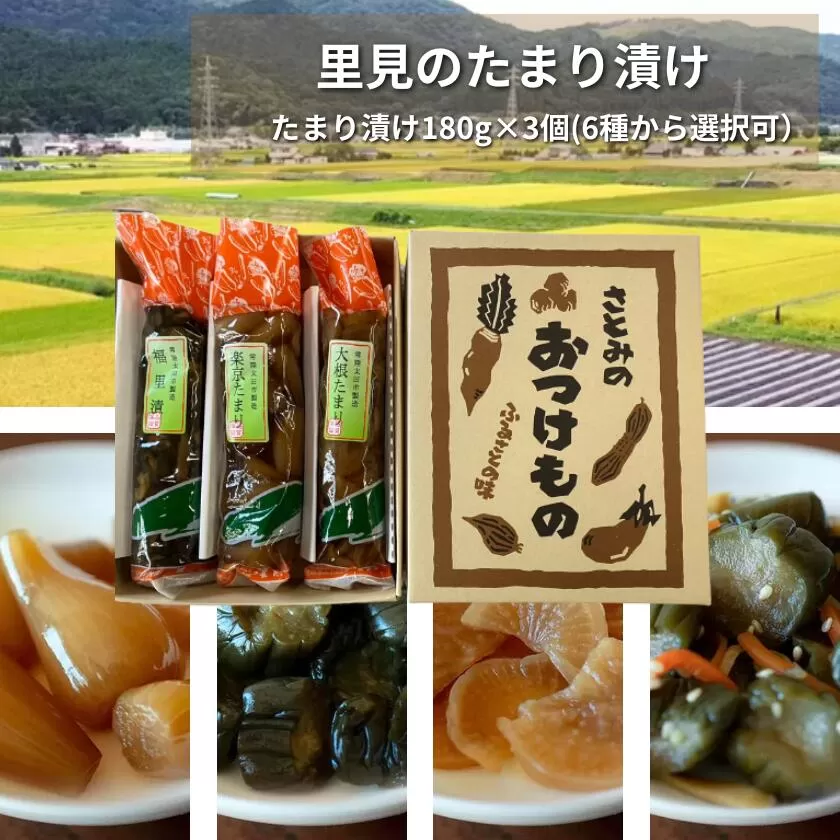 地場産の野菜使用 里美のたまり漬け(180g×3個/ 胡瓜たまり 辛入り胡瓜たまり 福里漬 大根たまり 楽京たまり ごまちゃんのいずれか ※指定可能) [ 常陸太田市 里川町 地場産 野菜 里美 お漬物 人気]