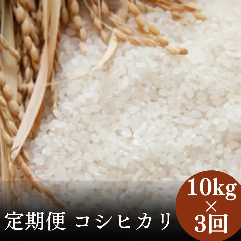 【定期便】令和7年産 茨城県 常陸太田市産 コシヒカリ10kg（全3回）