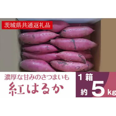 濃厚な甘みさつまいも 紅はるか5kg（茨城県共通返礼品・行方市産）(AK101)