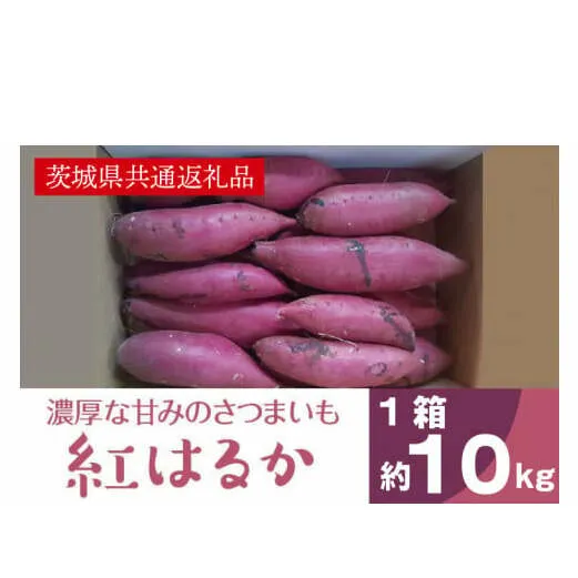濃厚な甘みさつまいも 紅はるか10kg（茨城県共通返礼品・行方市産）(AK102)