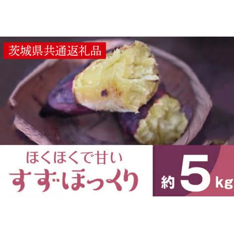 ホクホクで甘いさつまいも すずほっくり5kg（茨城県共通返礼品・行方市産）(AK205)