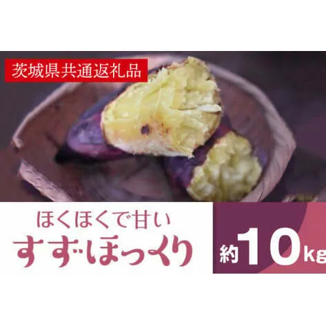 ホクホクで甘いさつまいも すずほっくり10kg（茨城県共通返礼品・行方市産）(AK106)