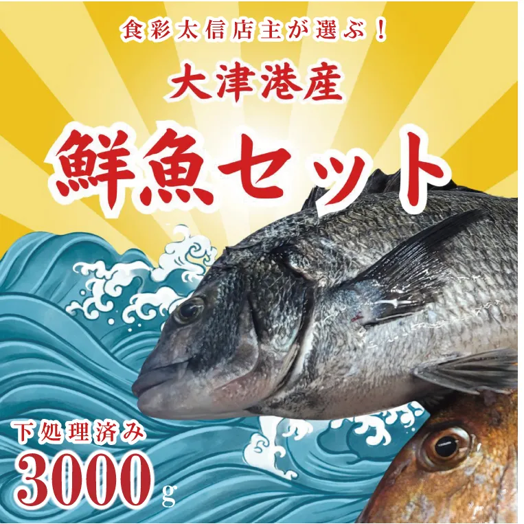 飲食店『食彩太信』店主が選ぶ！大津港地魚鮮魚セット 下処理済み【賞味期限：到着後、冷蔵保存で3日間】【産地直送 新鮮 魚介 平目 ヒラメ 真鯛 鯛 イナダ たら のどぐろ 刺身 魚料理 北茨城市 茨城県】(AA205)