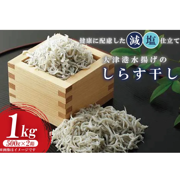 AS206　大津港水揚げのしらす干し　1kg(500ｇx２箱)