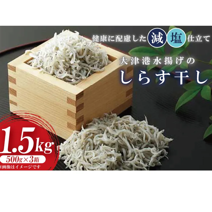 AS107　大津港水揚げのしらす干し　1.5kg(500ｇx3箱)