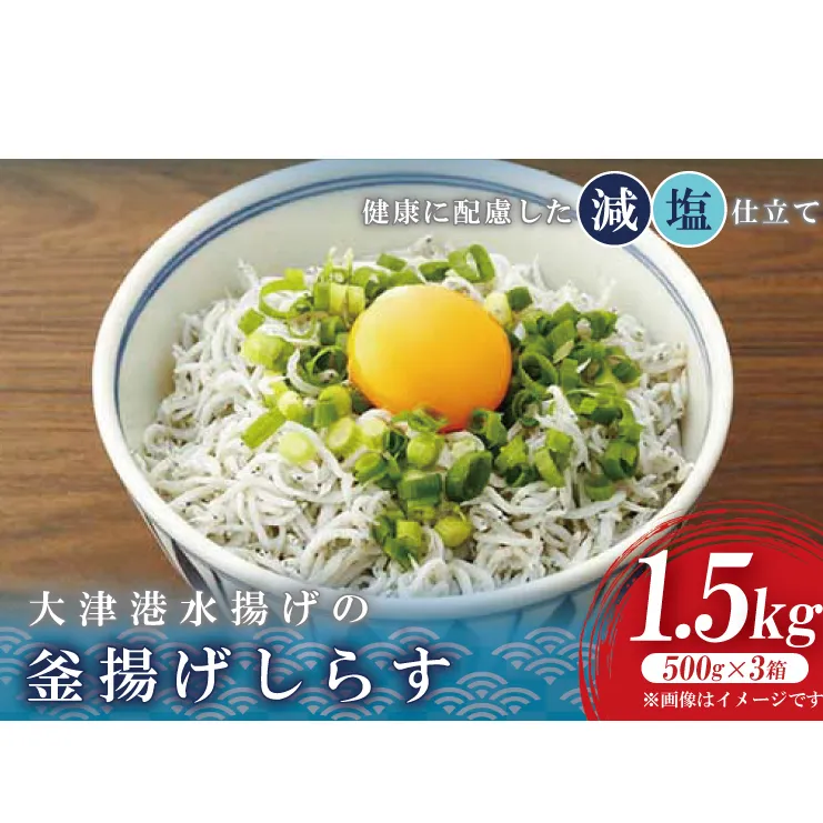 大津港水揚げの釜揚げしらす　1.5kg(500g×3箱) (AS210)