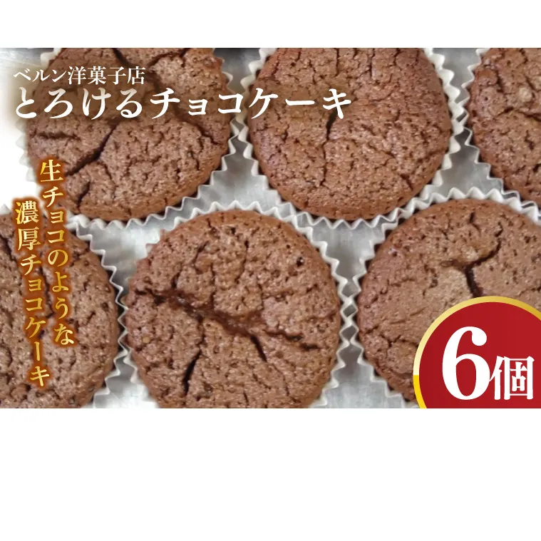 とろけるチョコケーキ【チョコレート 生チョコ 濃厚 おやつ プレゼント】(CK103)